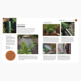DK Verlag - SO GEHT GARTEN Ratgeber - Buch - ROSA ECK