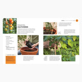 DK Verlag - SO GEHT GARTEN Ratgeber - Buch - ROSA ECK
