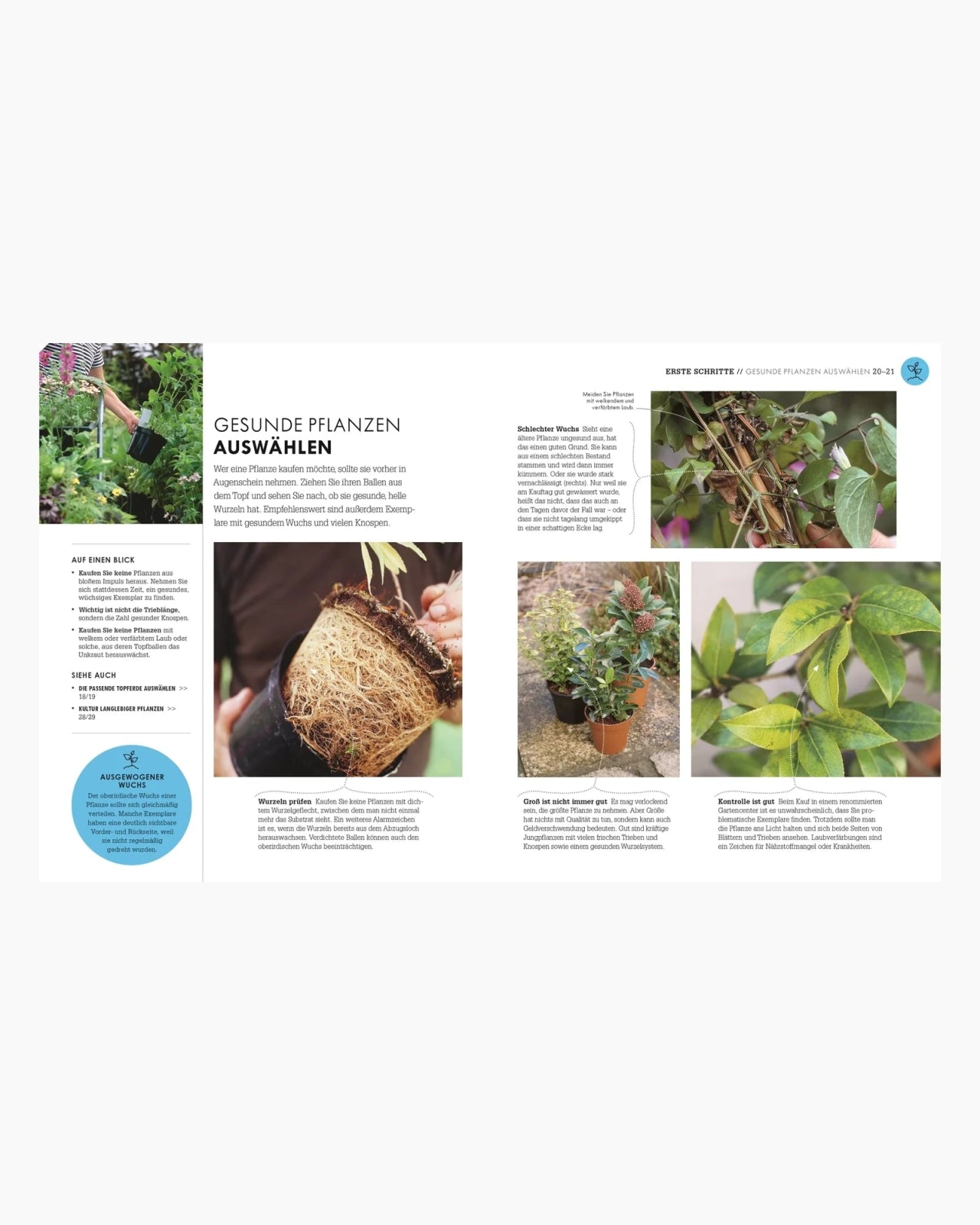 DK Verlag - SO GEHT GARTEN Ratgeber - Buch - ROSA ECK