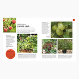 DK Verlag - SO GEHT GARTEN Ratgeber - Buch - ROSA ECK