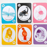 Laurence King Publishing - DER WILDE HAUFEN Spiel - ROSA ECK - Kinder, LKP, LKV