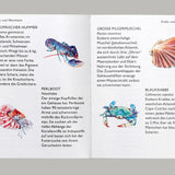 Laurence King Publishing - MEERES SPIELKARTEN Spiel - ROSA ECK - Kinder, LKP, LKV