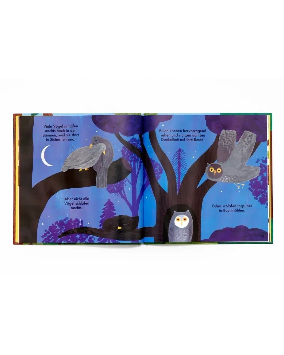 Laurence King Publishing - WUNDERBARER WALD Kinderbuch • Bäume und Vögel - ROSA ECK