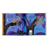 Laurence King Publishing - WUNDERBARER WALD Kinderbuch • Bäume und Vögel - ROSA ECK