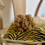Rose in April - LILI Handtasche | Zebre Bambou / Black - Beutel - ROSA ECK -