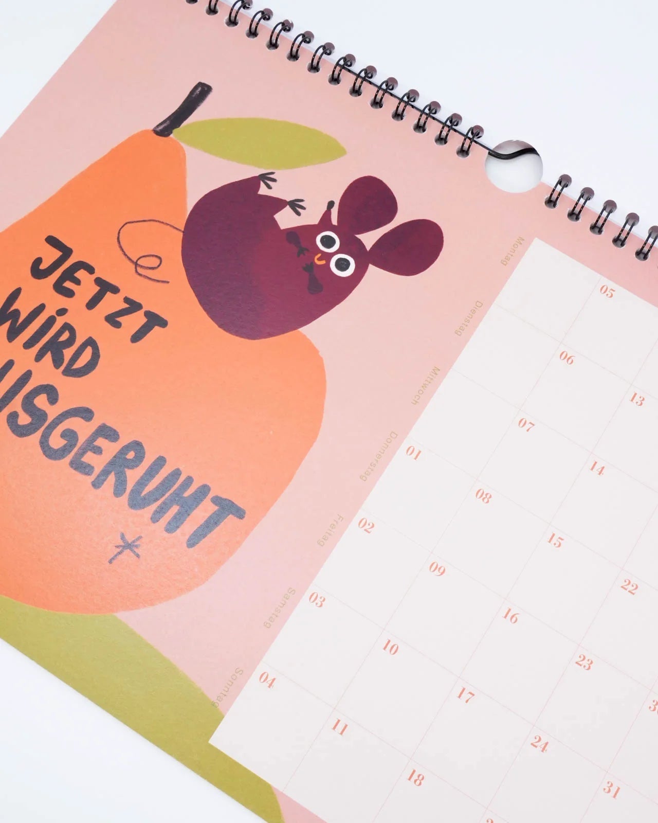 Slinga Illustration - Der Faule Kalender (2026) - Kalender - ROSA ECK Concept Store