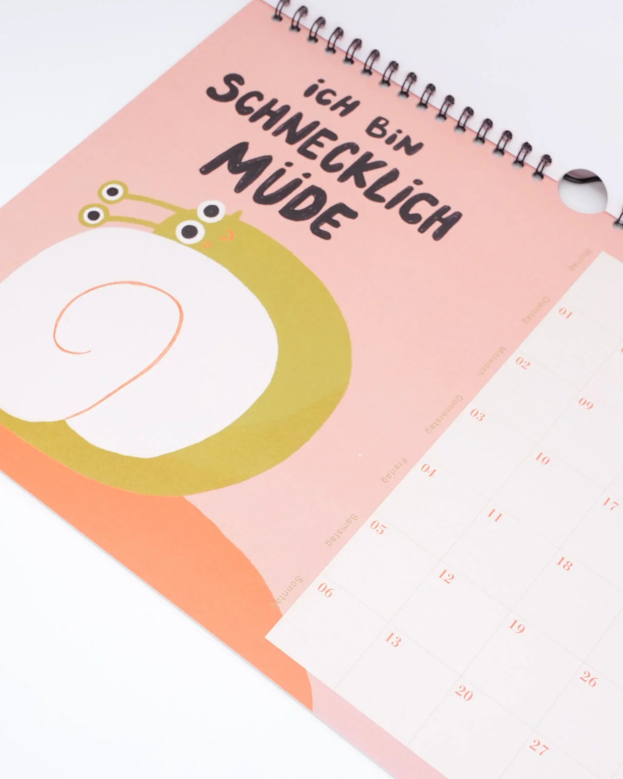 Slinga Illustration - Der Faule Kalender (2026) - Kalender - ROSA ECK Concept Store