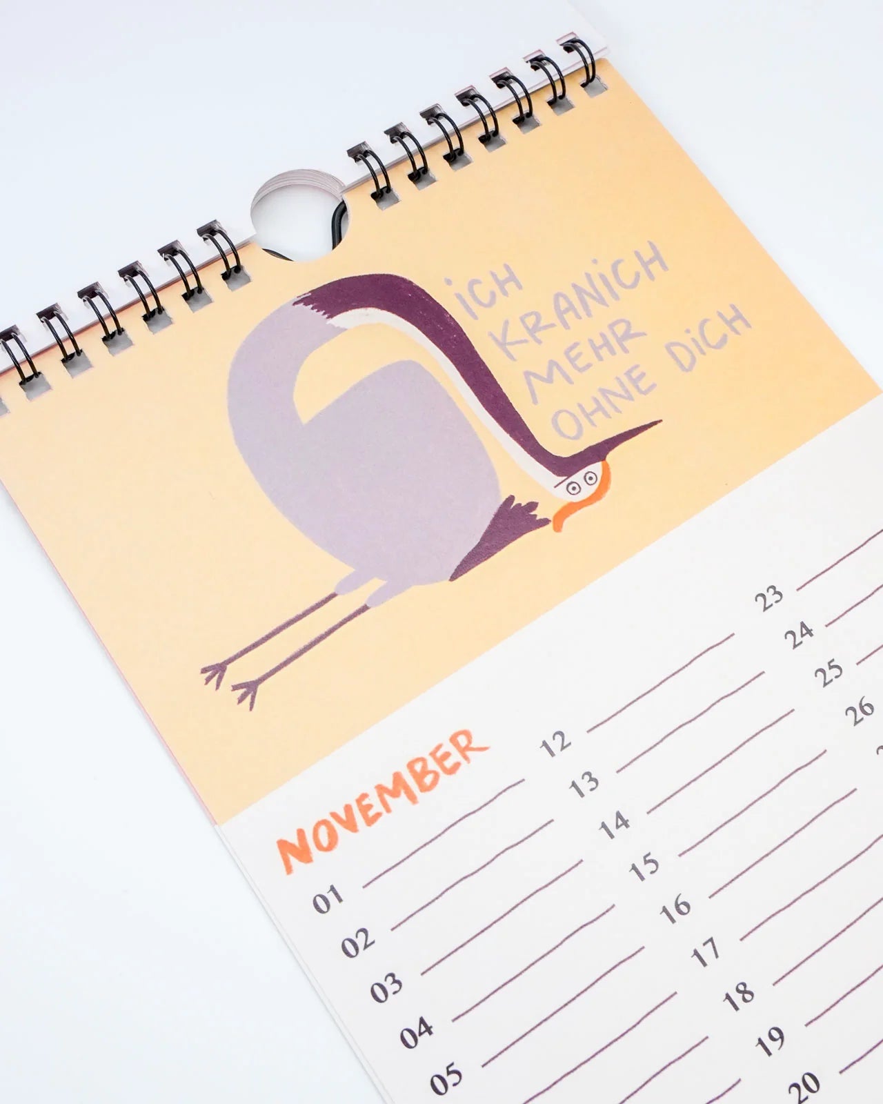 Slinga Illustration - Gans Lieber Vogelkalender - Kalender - ROSA ECK Concept Store