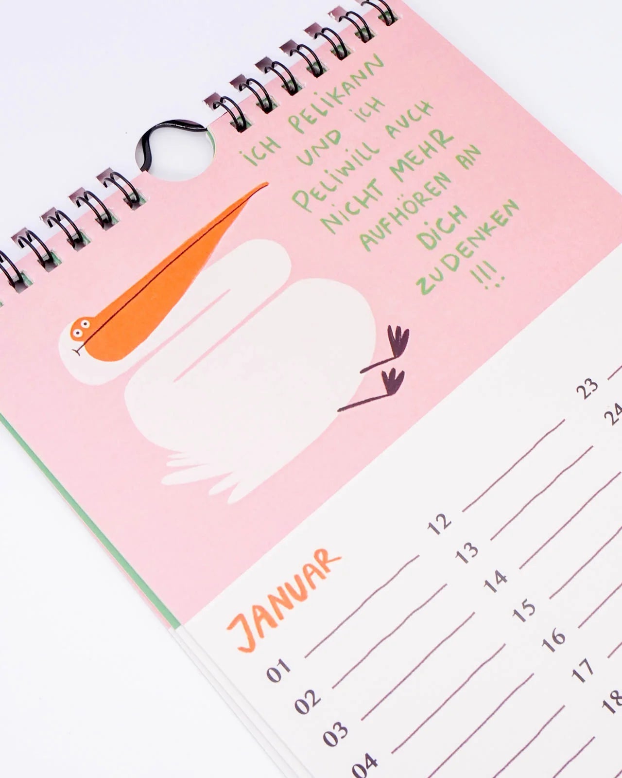 Slinga Illustration - Gans Lieber Vogelkalender - Kalender - ROSA ECK Concept Store