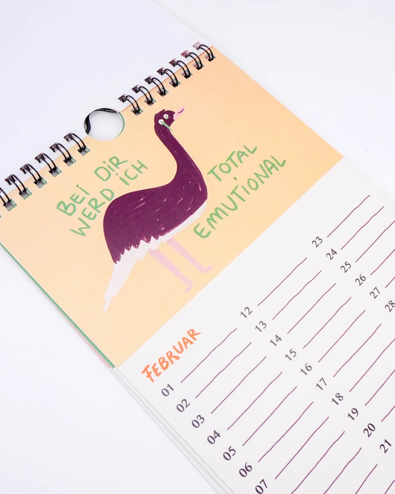 Slinga Illustration - Gans Lieber Vogelkalender - Kalender - ROSA ECK Concept Store