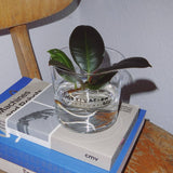 yahya studio - MOTIVATION OFF Trinkglas mit Statement - ROSA ECK - Glas, ,