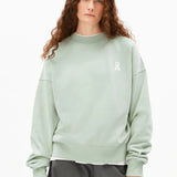 ARMEDANGELS - ICONIC Å ALIZAA Pullover • foam - ROSA ECK