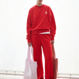 ARMEDANGELS - ICONIC Å ALIZAA Pullover • mars red - T-Shirt - ROSA ECK
