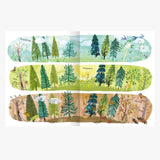 ars edition - Der Weihnachtsbaum, den niemand wollte – Kinderbuch - Kinderbuch - ROSA ECK