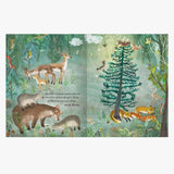 ars edition - Der Weihnachtsbaum, den niemand wollte – Kinderbuch - Kinderbuch - ROSA ECK