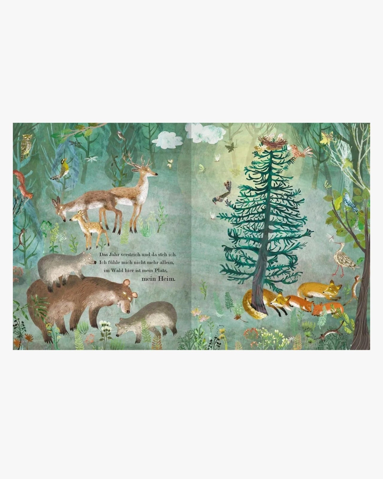 ars edition - Der Weihnachtsbaum, den niemand wollte – Kinderbuch - Kinderbuch - ROSA ECK