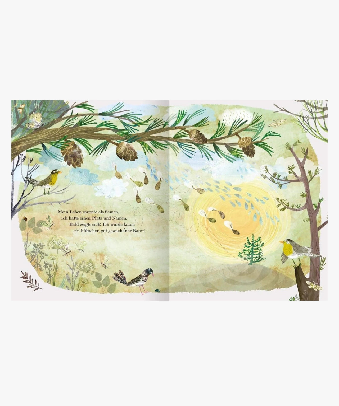 ars edition - Der Weihnachtsbaum, den niemand wollte – Kinderbuch - Kinderbuch - ROSA ECK