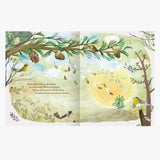 ars edition - Der Weihnachtsbaum, den niemand wollte – Kinderbuch - Kinderbuch - ROSA ECK