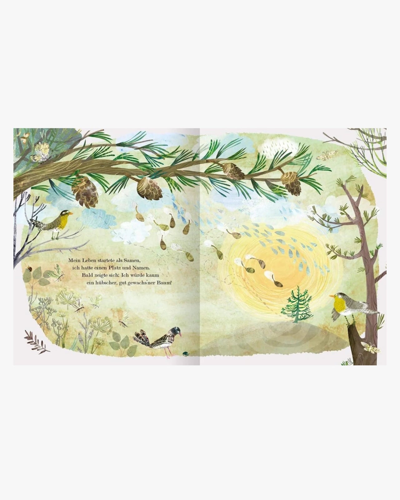 ars edition - Der Weihnachtsbaum, den niemand wollte – Kinderbuch - Kinderbuch - ROSA ECK