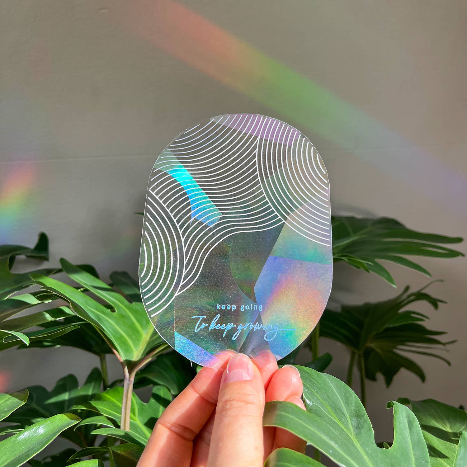 Botanopia - Suncatcher Fenster - Sticker • Keep going to keep growing - ROSA ECK