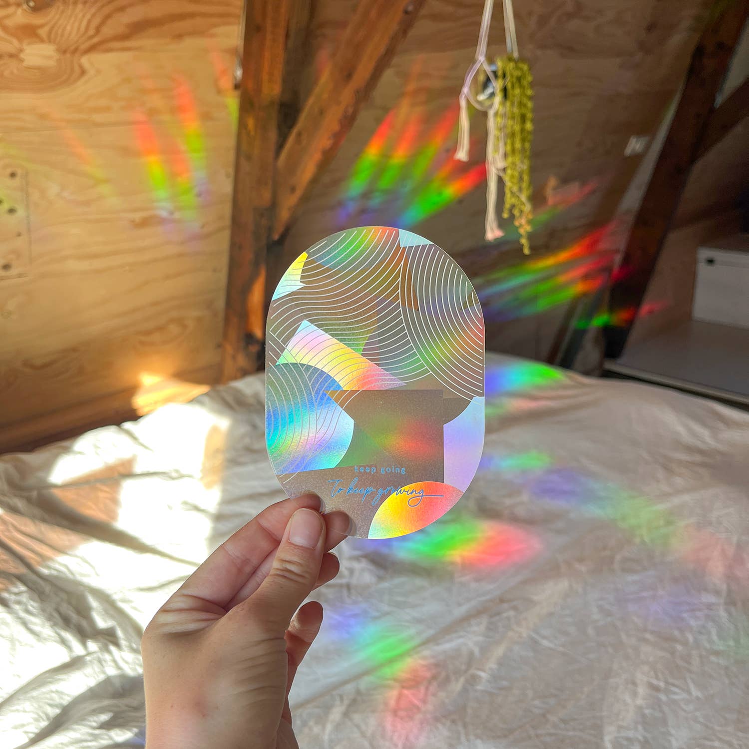 Botanopia - Suncatcher Fenster - Sticker • Keep going to keep growing - ROSA ECK