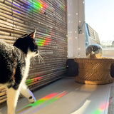 Botanopia - Suncatcher Fenster - Sticker • Slow down and soak it up - ROSA ECK