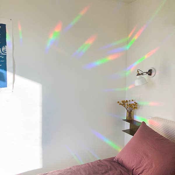 Botanopia - Suncatcher Fenster-Sticker • You shine so bright - ROSA ECK
