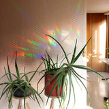 Botanopia - Suncatcher Fenster-Sticker • You shine so bright - ROSA ECK