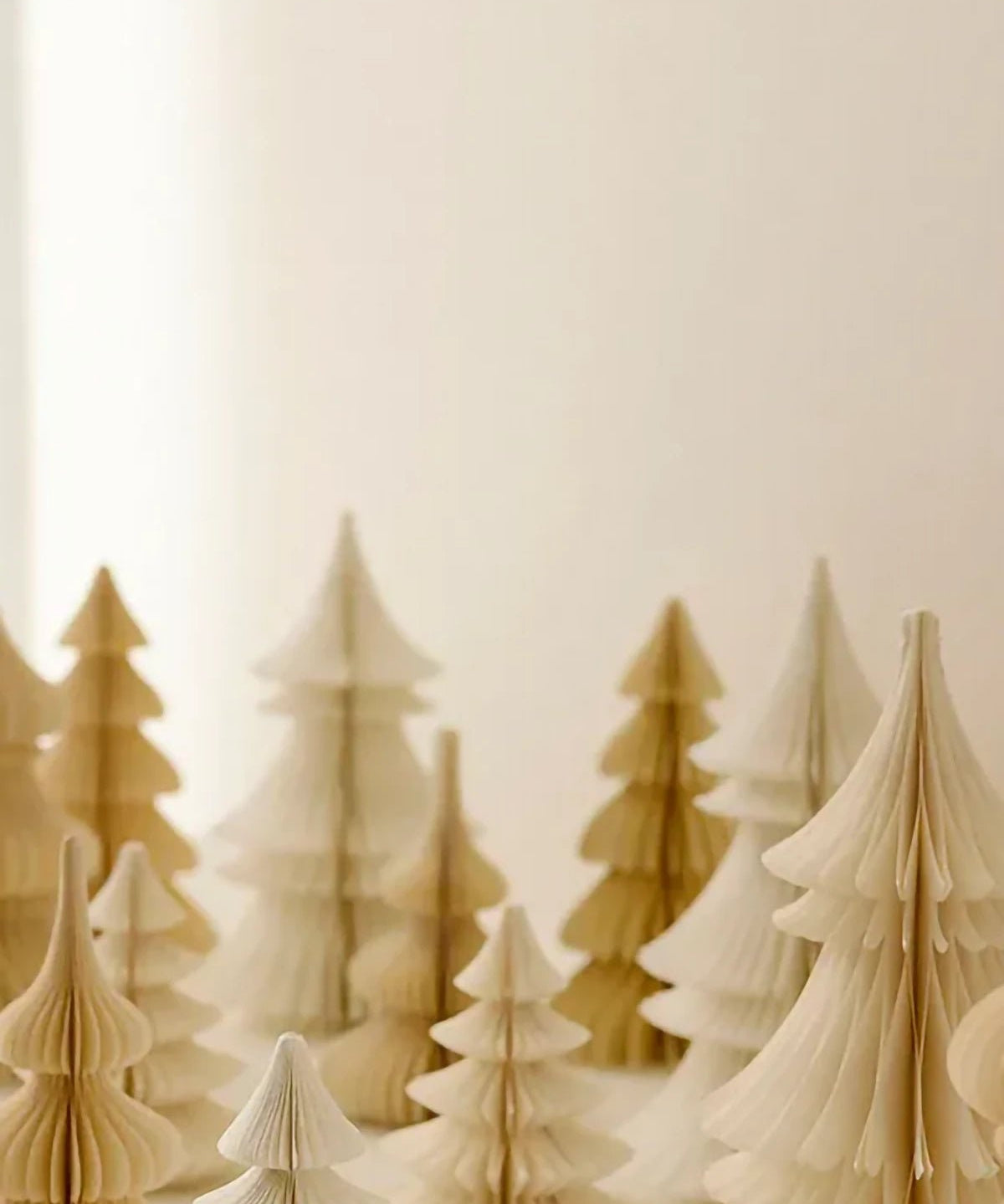 Bungalow - Honeycomb Baum • Spruce Shell (H 20 cm) - Dekoration - ROSA ECK