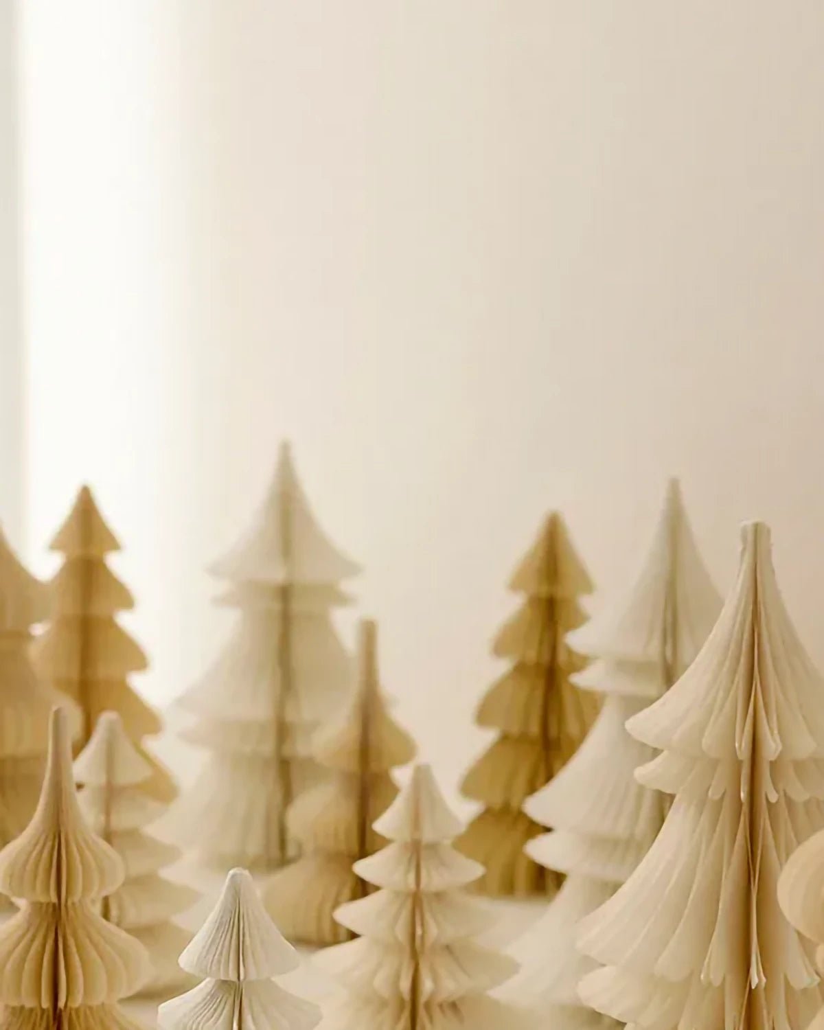 Bungalow - Honeycomb Baum • Spruce Shell (H 20 cm) - Dekoration - ROSA ECK