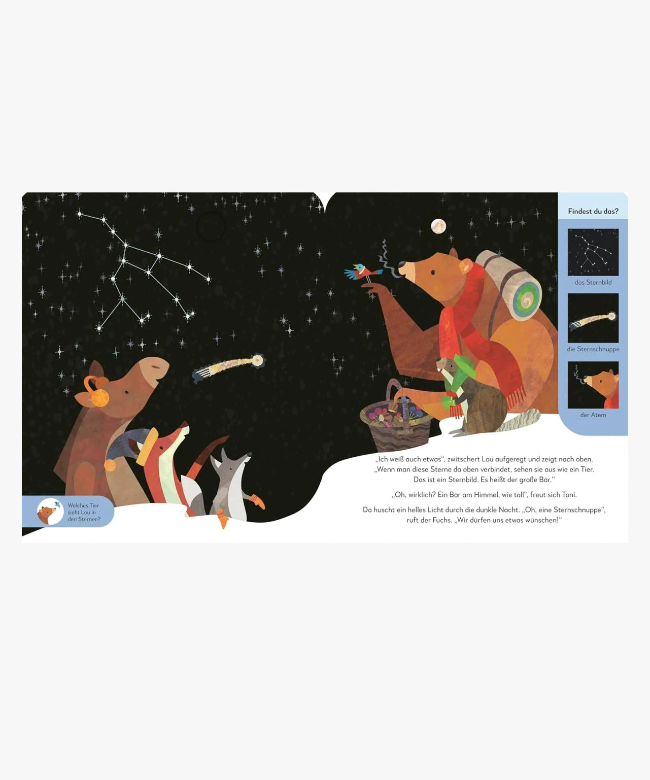 DK Verlag - Eine Nacht im Winterwald – Kinderbuch - Kinderbuch - ROSA ECK