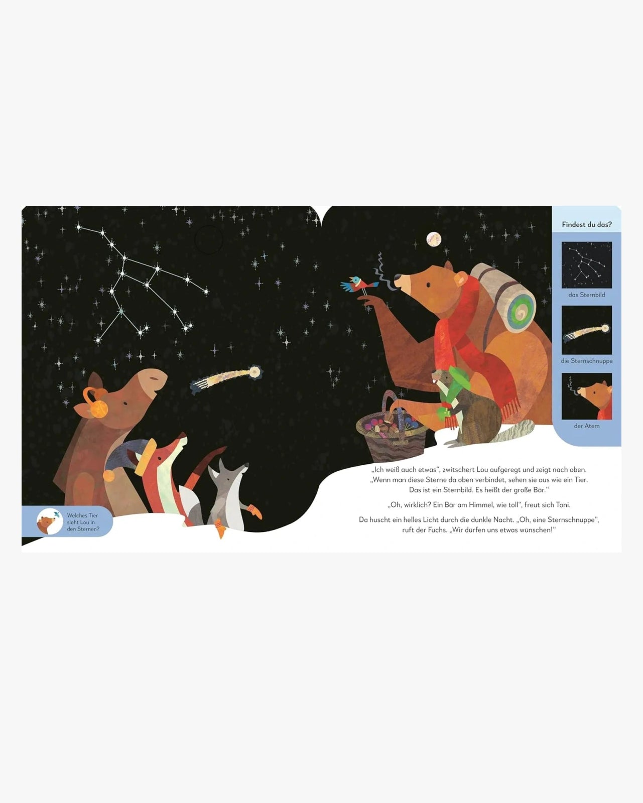 DK Verlag - Eine Nacht im Winterwald – Kinderbuch - Kinderbuch - ROSA ECK