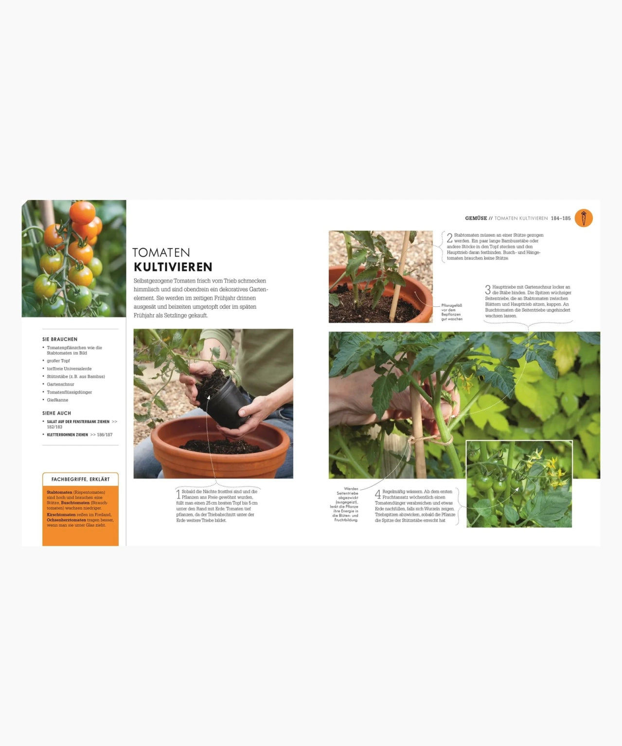 DK Verlag - SO GEHT GARTEN Ratgeber - Buch - ROSA ECK