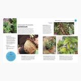 DK Verlag - SO GEHT GARTEN Ratgeber - Buch - ROSA ECK