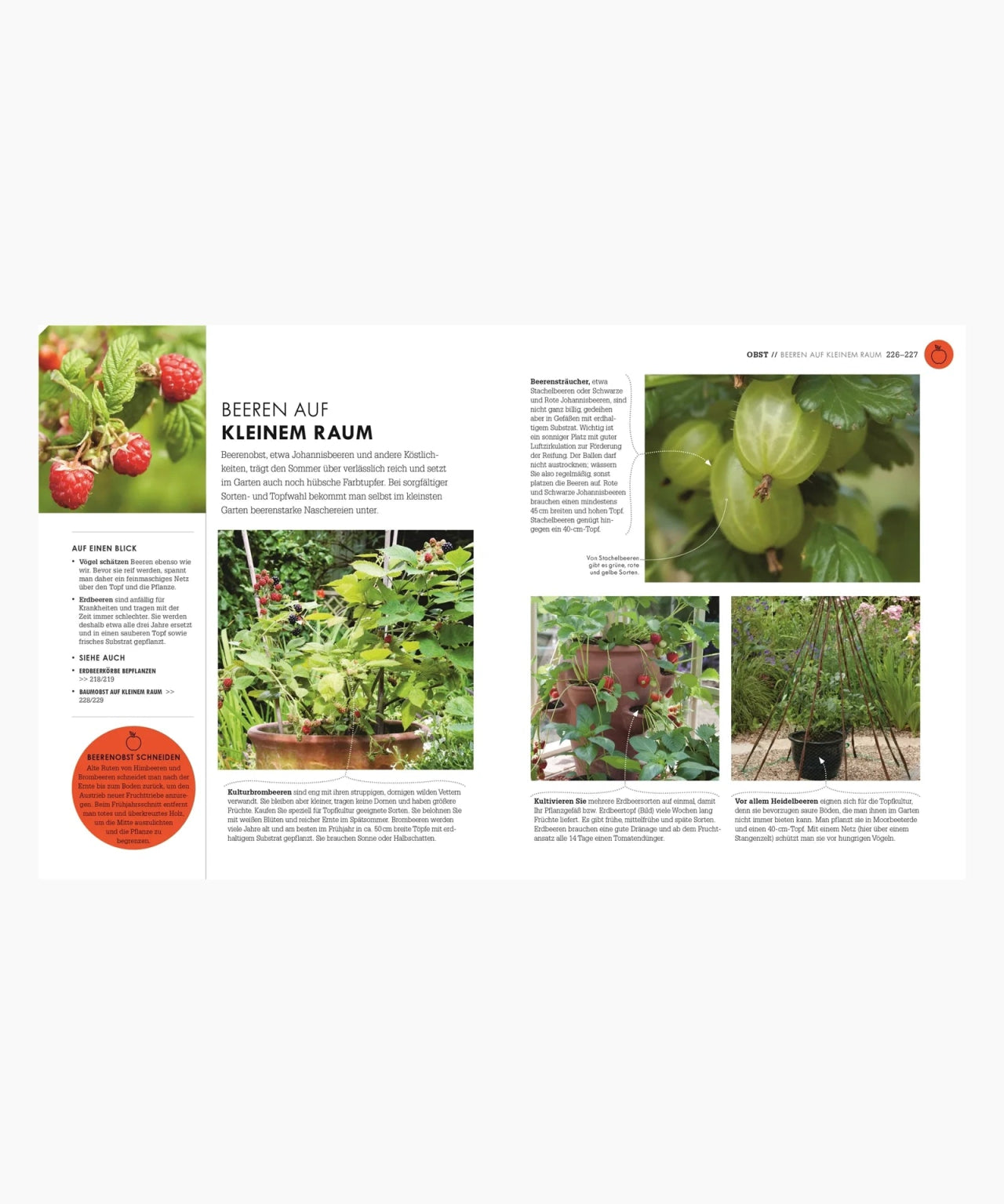 DK Verlag - SO GEHT GARTEN Ratgeber - Buch - ROSA ECK