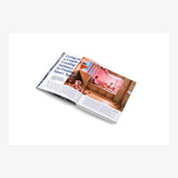 Gestalten Verlag - PRETTY SMALL Buch - ROSA ECK