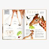 GROSSARTIG – ECHT GROSSE TIERE Kinderbuch