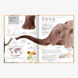 GROSSARTIG – ECHT GROSSE TIERE Kinderbuch