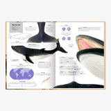 GROSSARTIG – ECHT GROSSE TIERE Kinderbuch