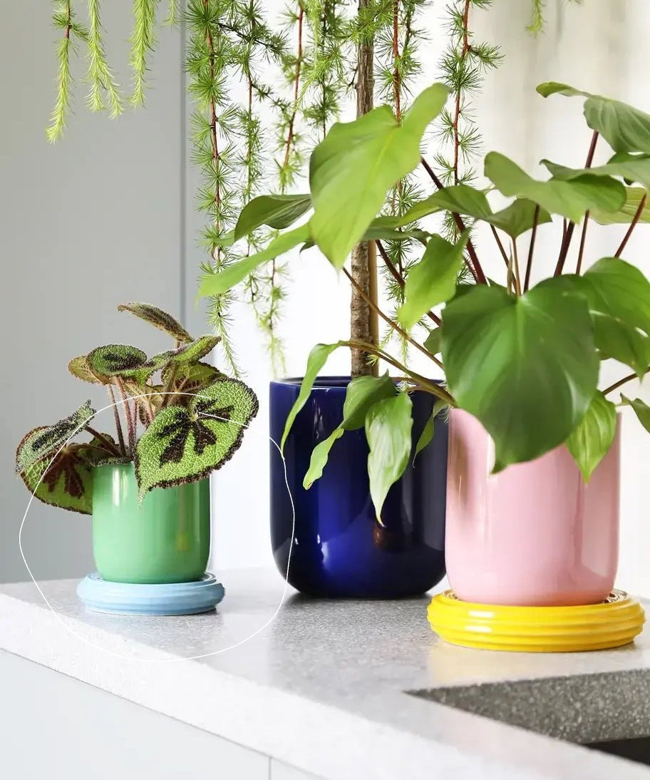 &Klevering - CHURROS Blumentopf | Grün - Blumentopf - ROSA ECK Concept Store