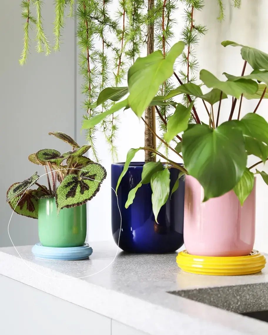 &Klevering - CHURROS Blumentopf | Grün - Blumentopf - ROSA ECK Concept Store