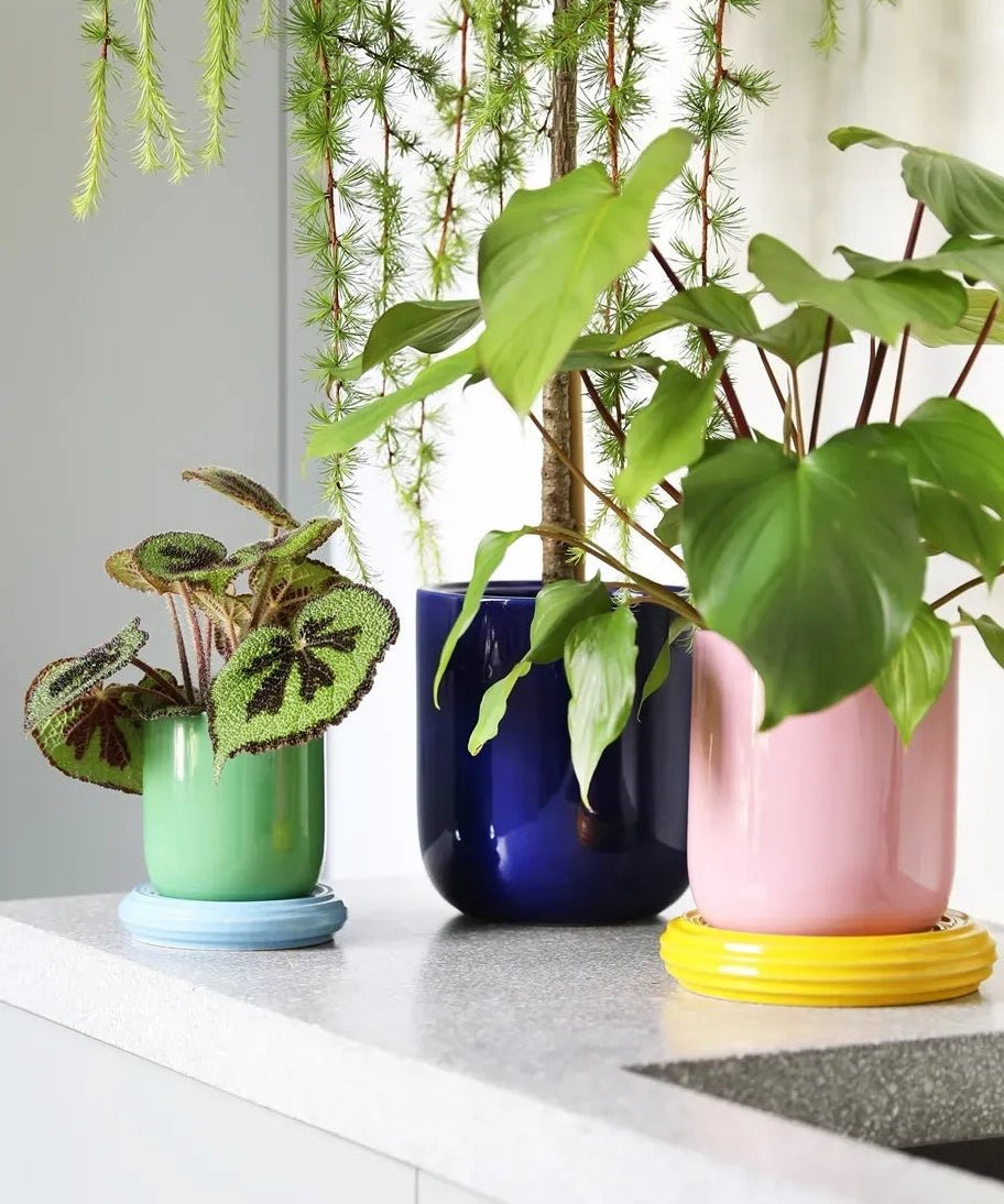 &Klevering - CHURROS Blumentopf | Rosa - Blumentopf - ROSA ECK Concept Store