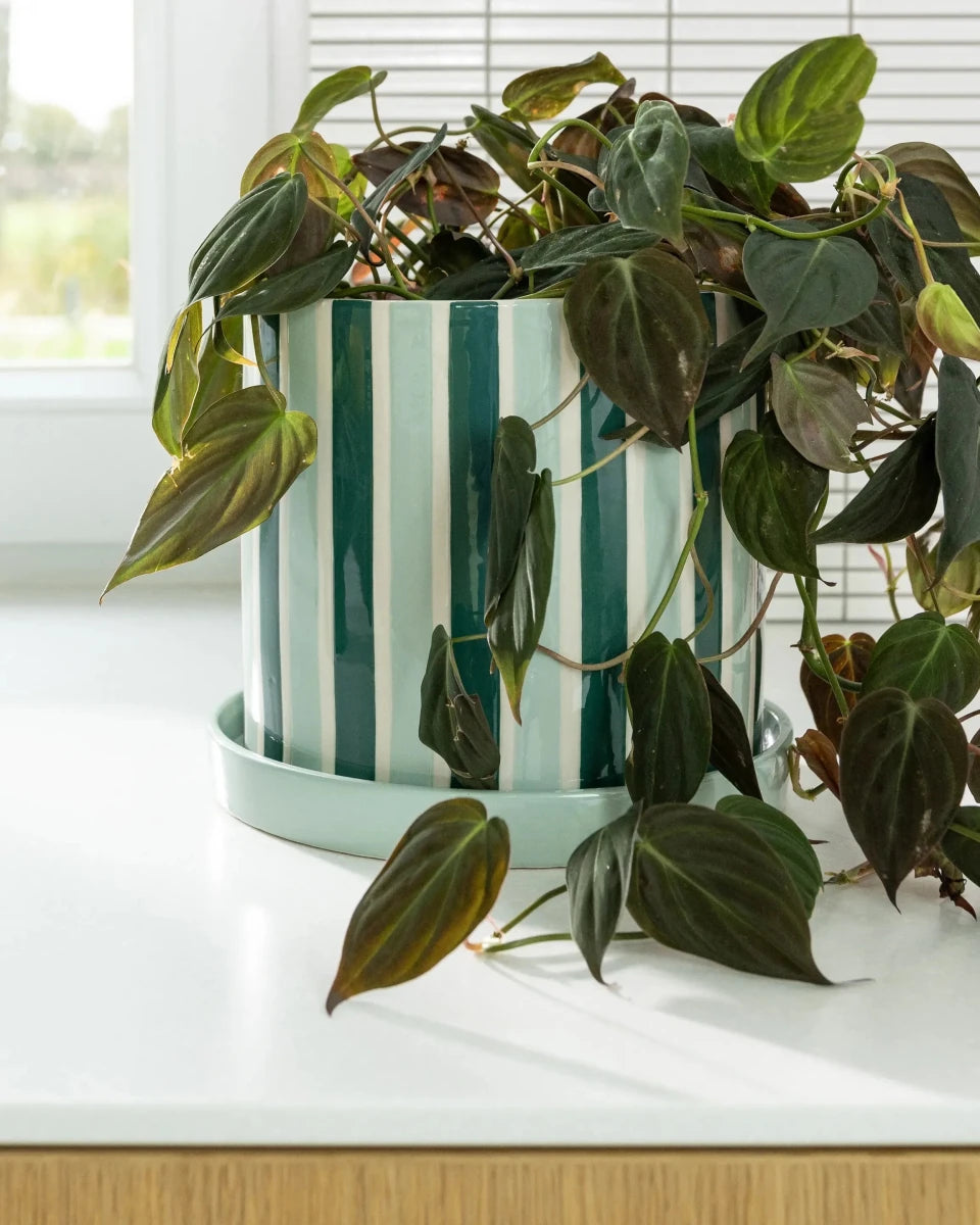 &Klevering - CLASH Blumentopf • Streifen - ROSA ECK