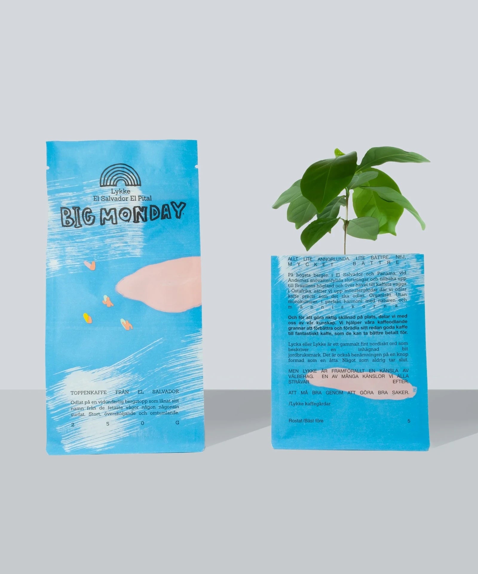 Lykke Coffee Farms - BIG MONDAY Kaffeebohnen aus El Salvador (250 g) - ROSA ECK
