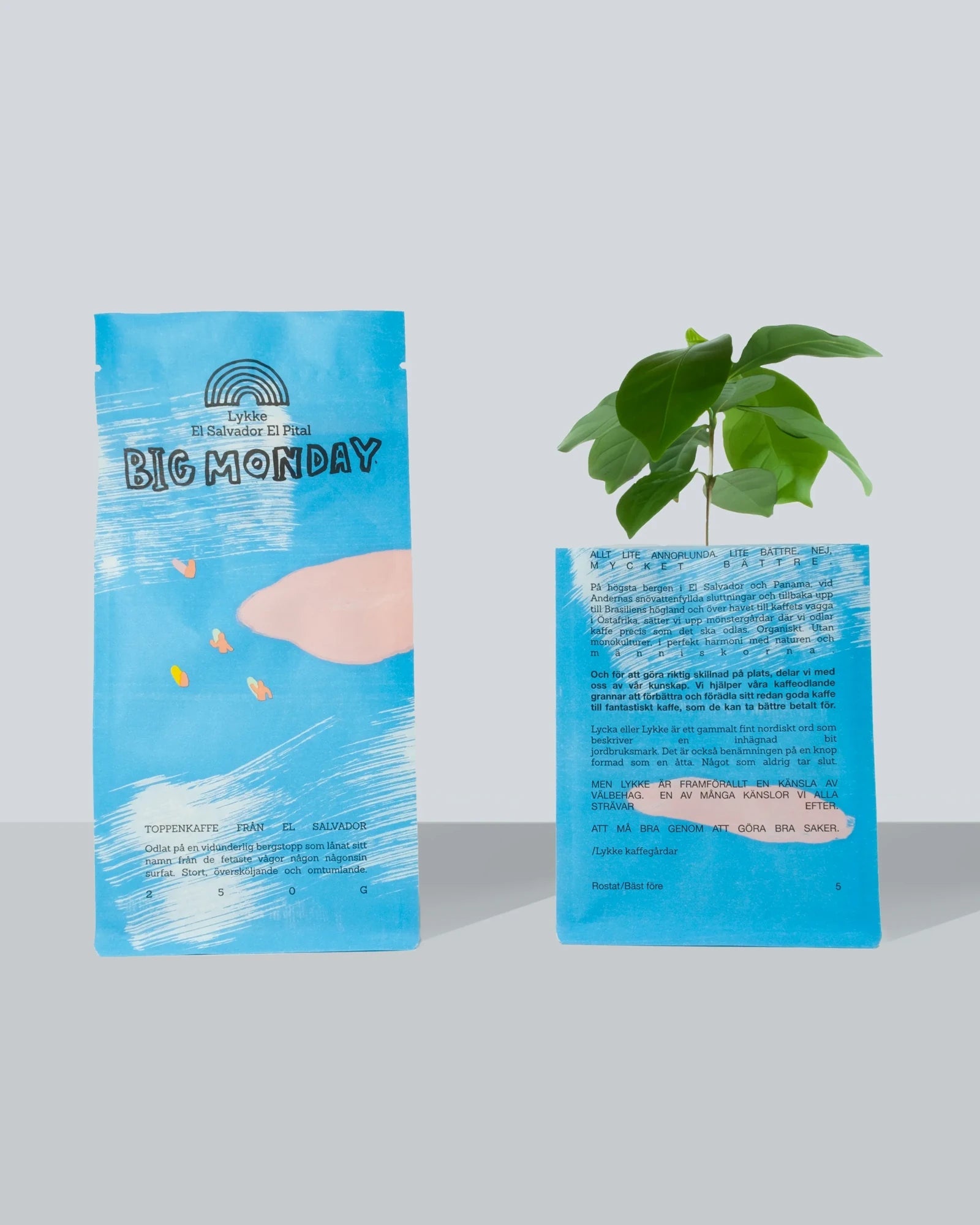 Lykke Coffee Farms - BIG MONDAY Kaffeebohnen aus El Salvador (250 g) - ROSA ECK
