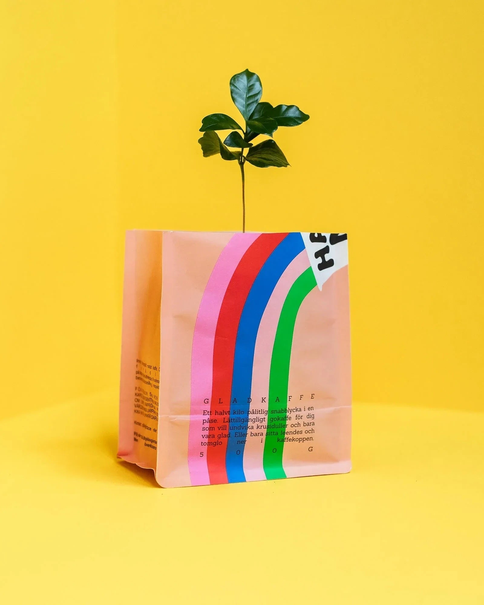 Lykke Coffee Farms - HAPPINESS Kaffeebohnen (500 g) - ROSA ECK