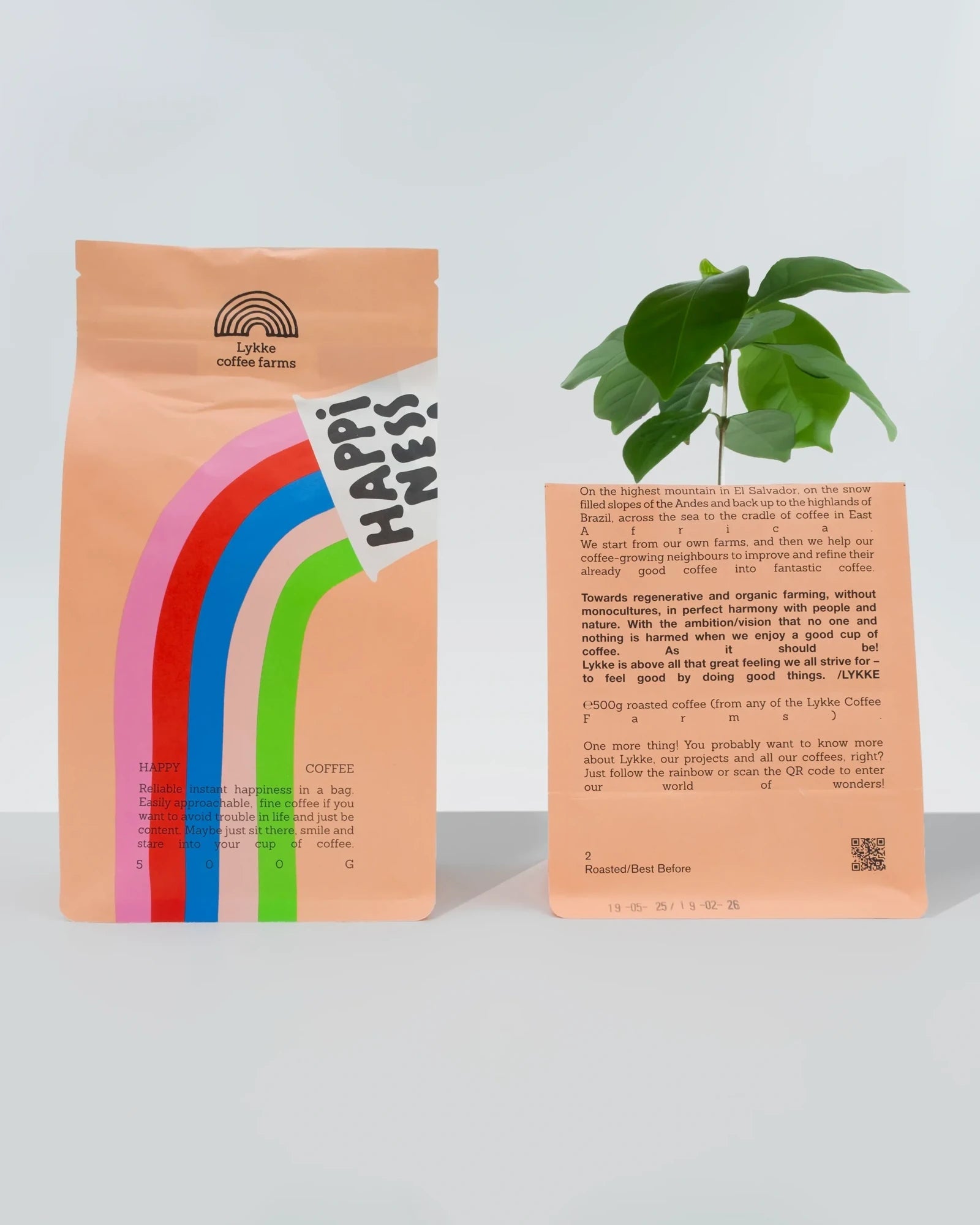 Lykke Coffee Farms - HAPPINESS Kaffeebohnen (500 g) - ROSA ECK
