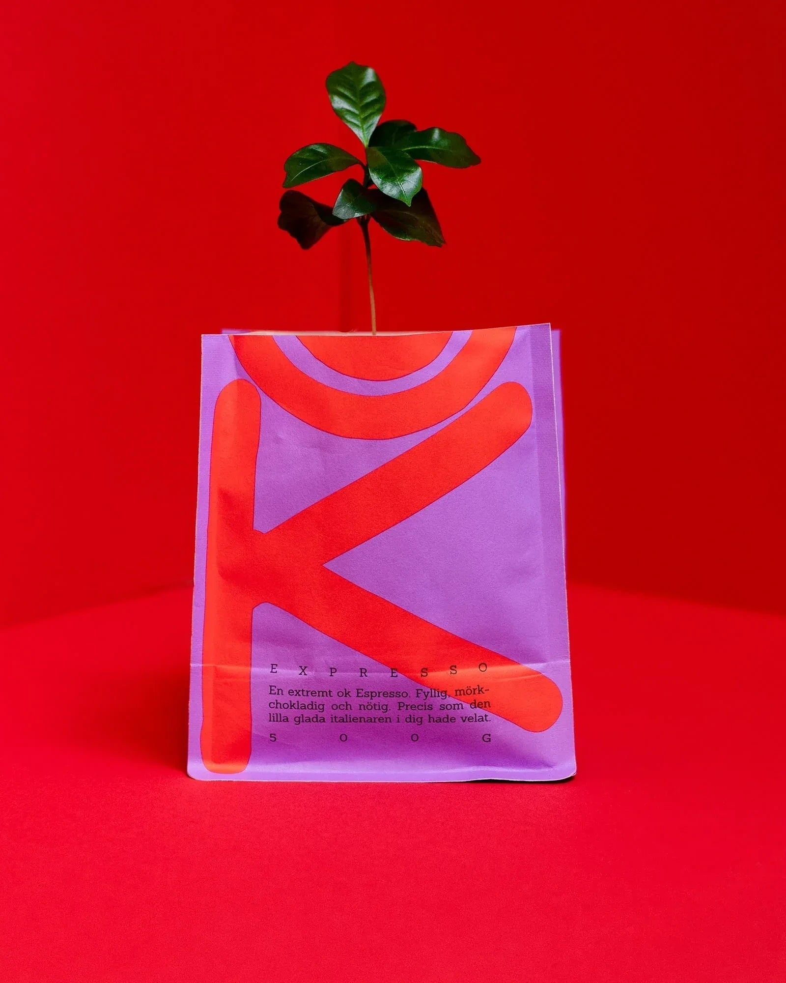 Lykke Coffee Farms - OK CIAO Espressobohnen (500 g) - ROSA ECK