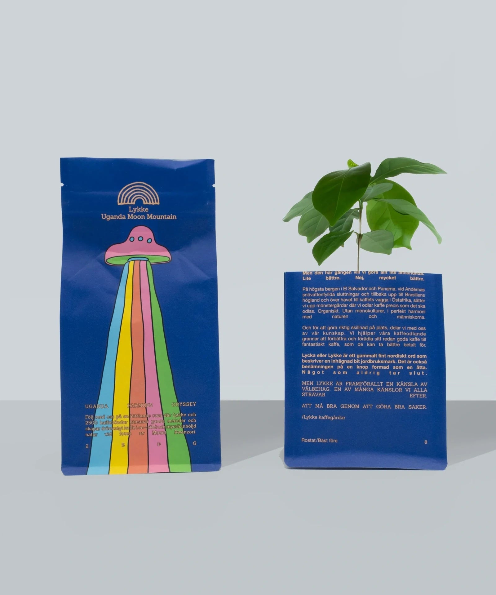 Lykke Coffee Farms - UFO Kaffeebohnen aus Uganda (250 g) - ROSA ECK