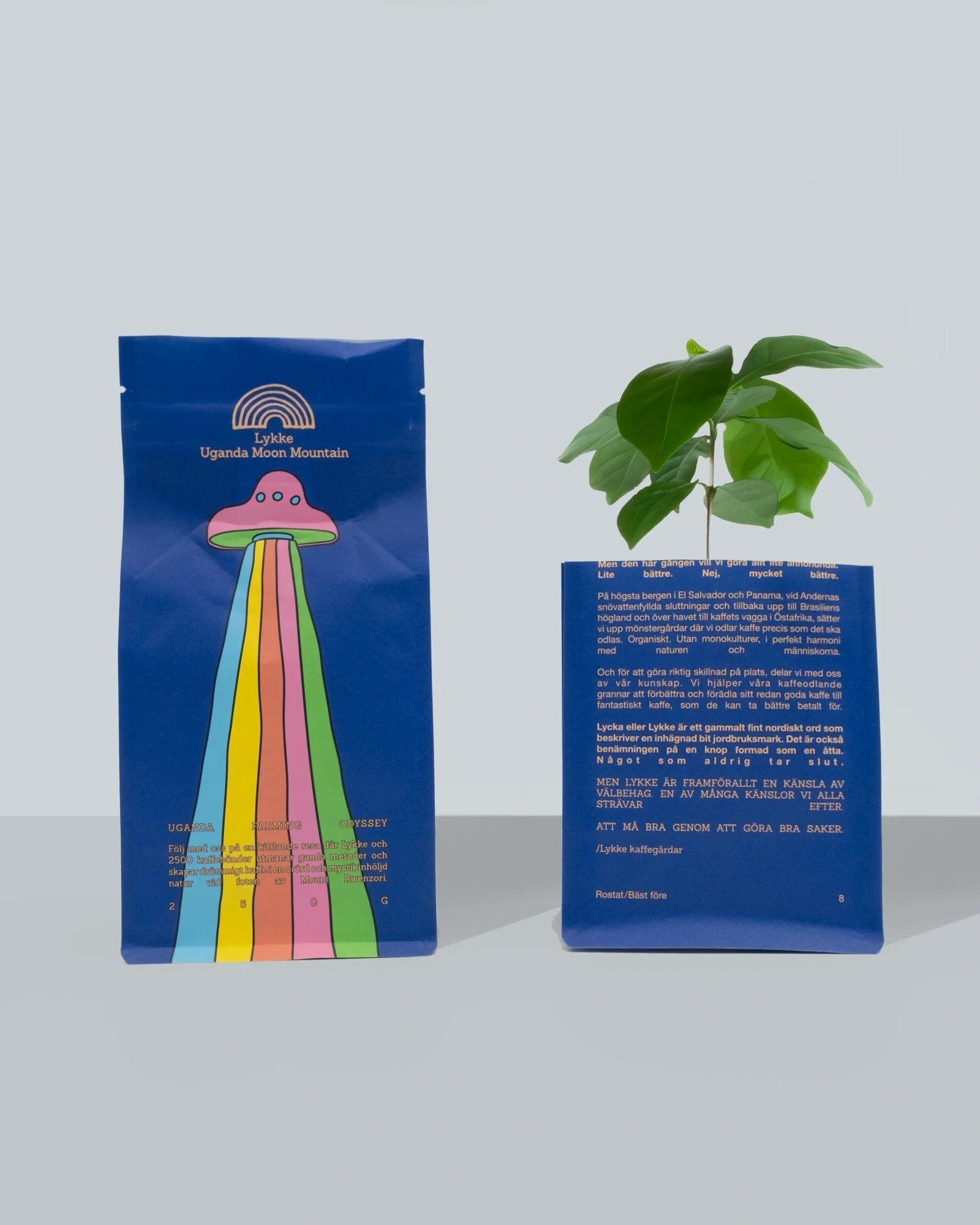 Lykke Coffee Farms - UFO Kaffeebohnen aus Uganda (250 g) - ROSA ECK